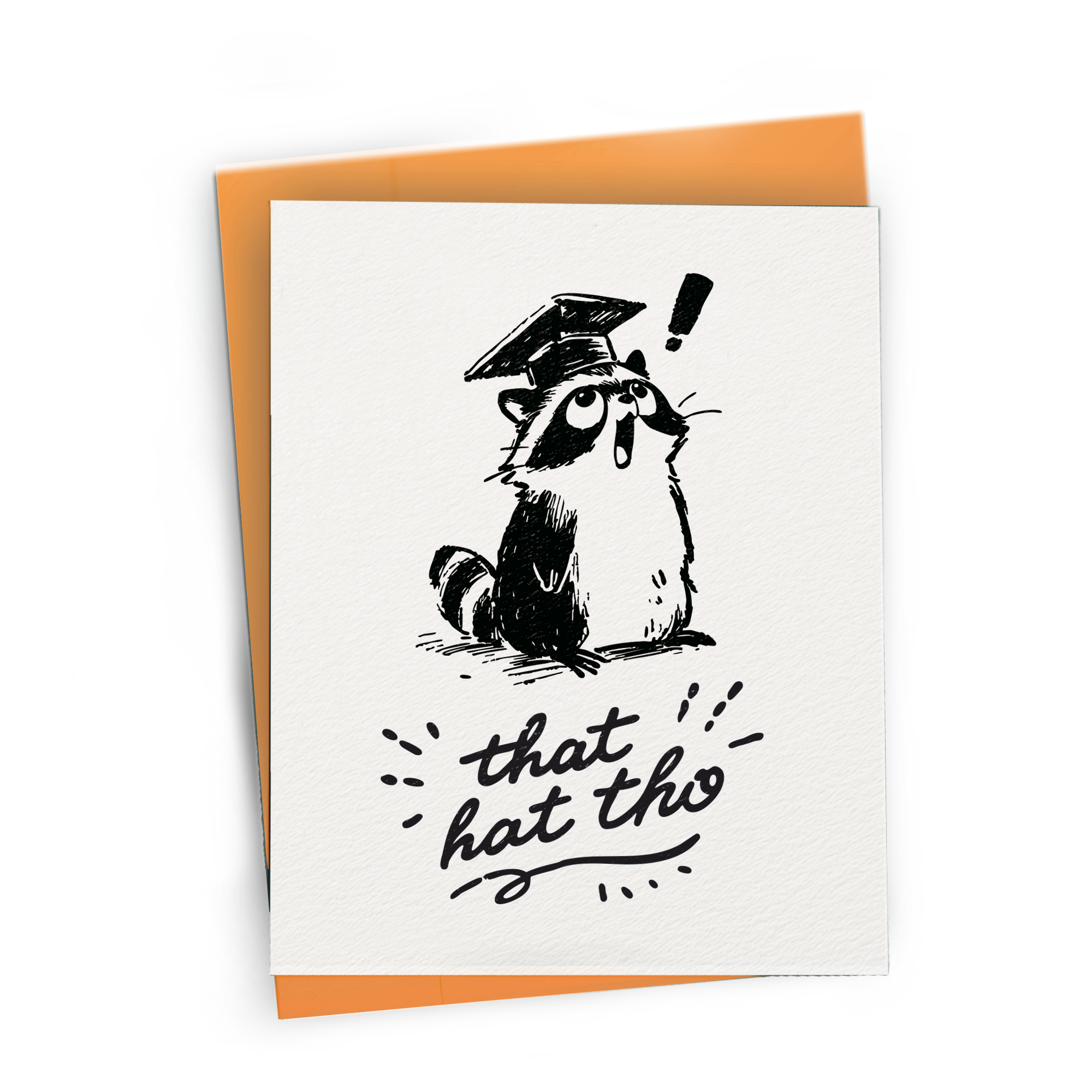 Graduating Raccoon