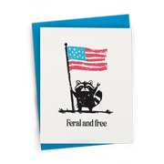 Feral and Free Raccoon