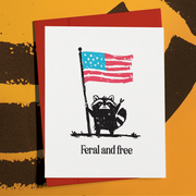 Feral and Free Raccoon