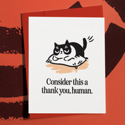 Sarcastic Cat Appreciation