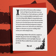 Snarky Book Lover Gift