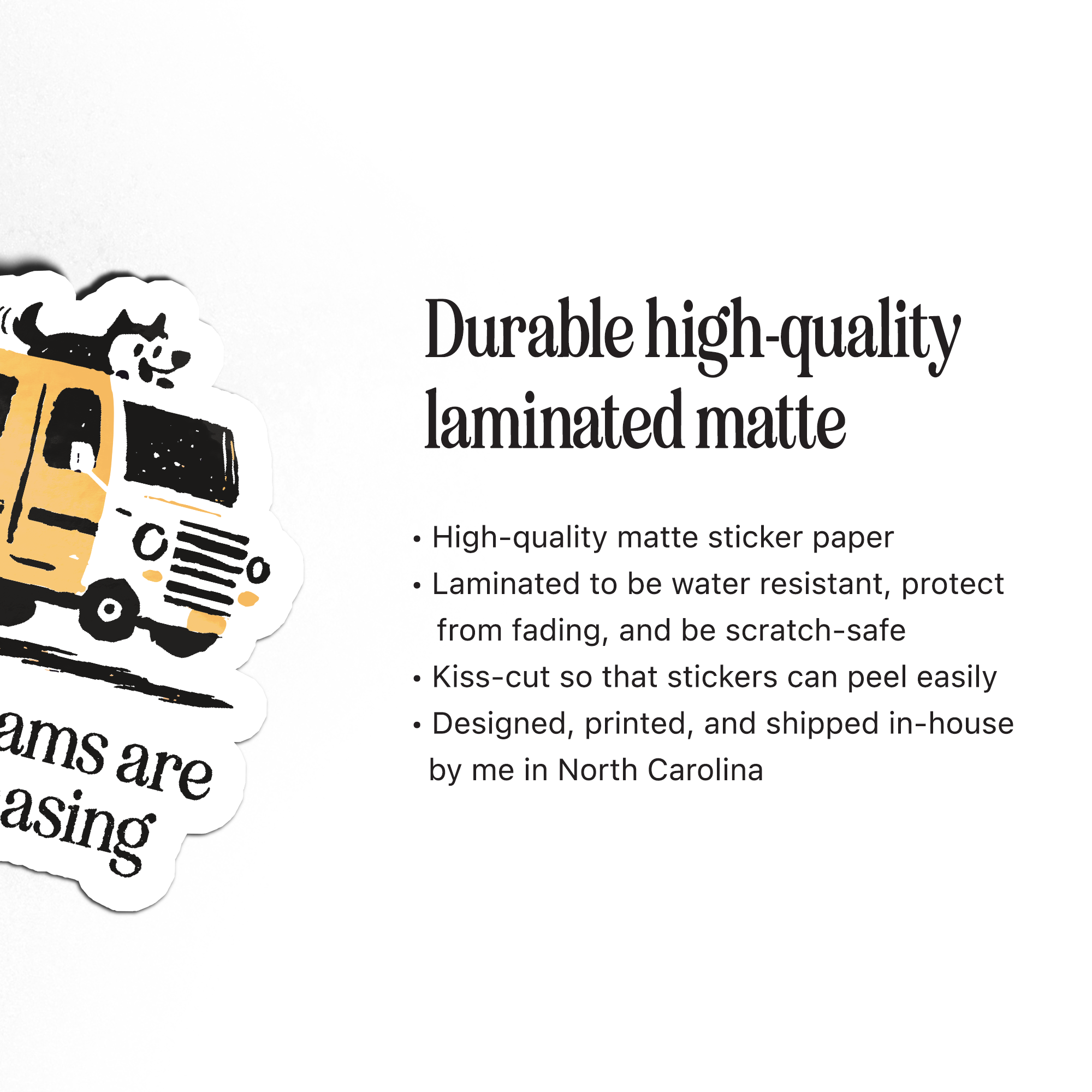 Dreams Worth Chasing