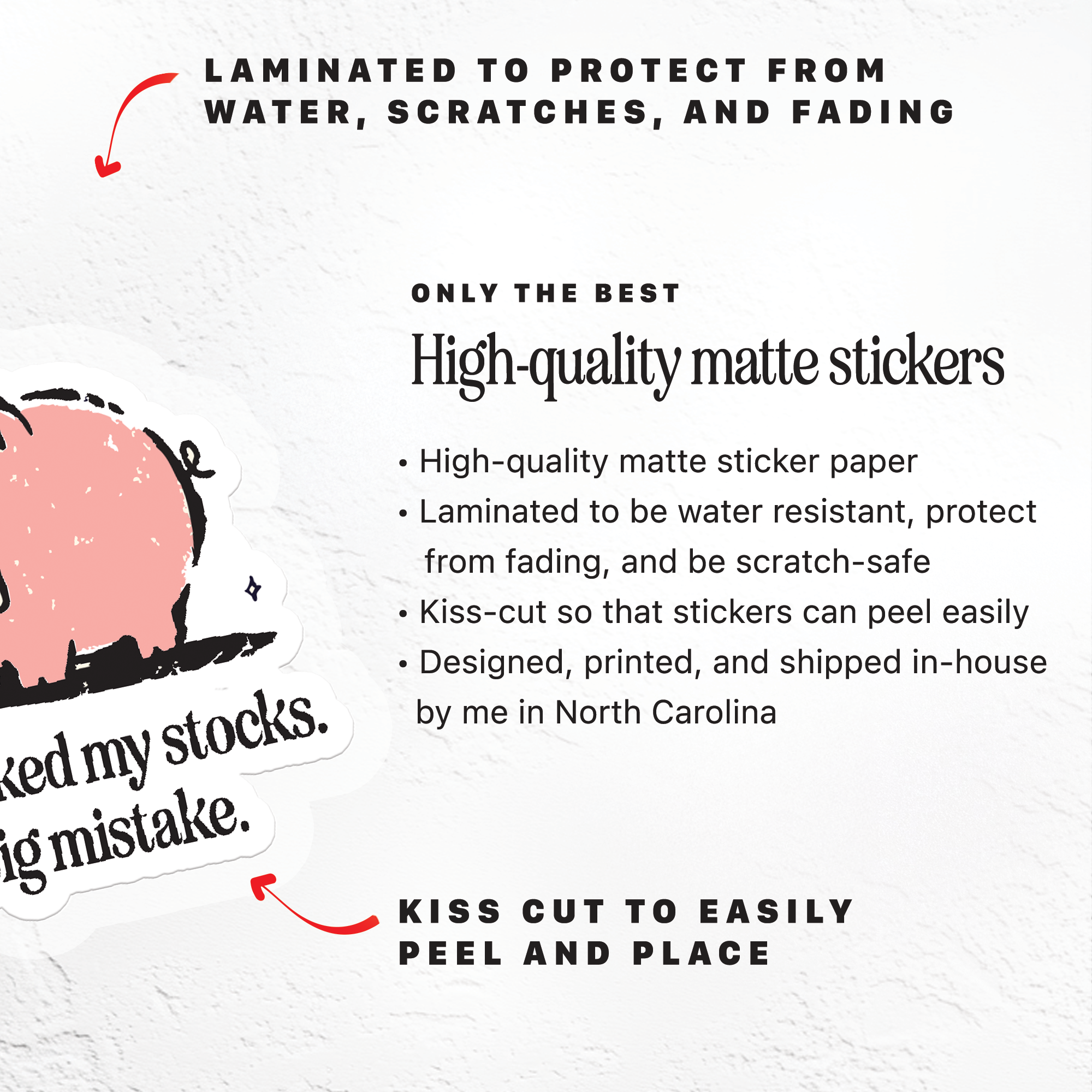 Checked My Stocks Piggy Bank