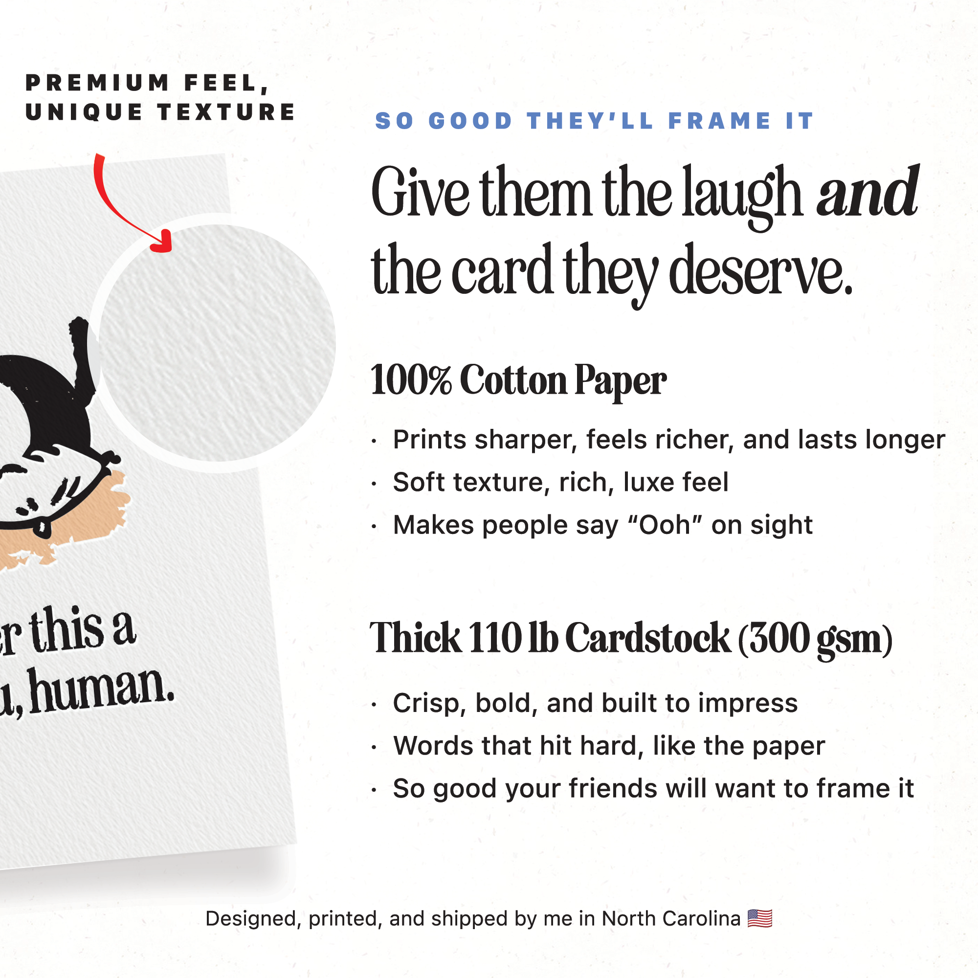 Sarcastic Cat Appreciation