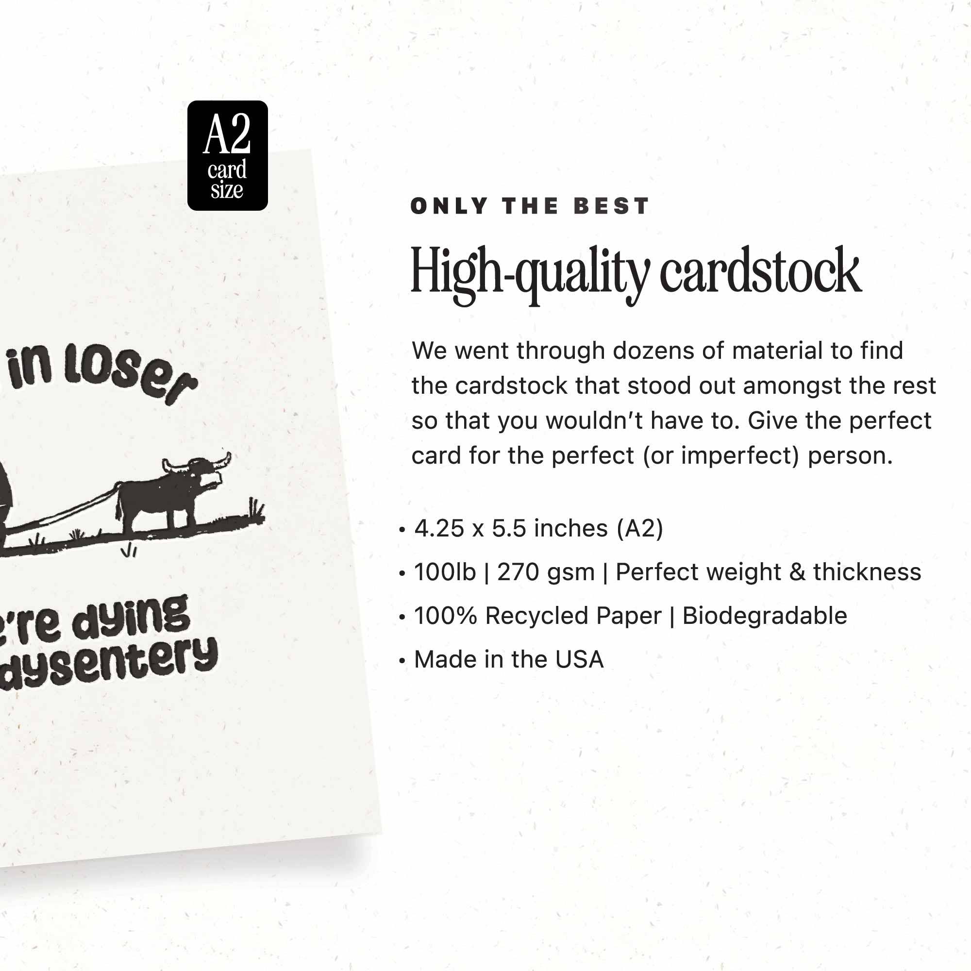 We're Dying of Dysentery Loser