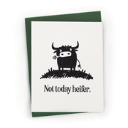 Not Today Heifer