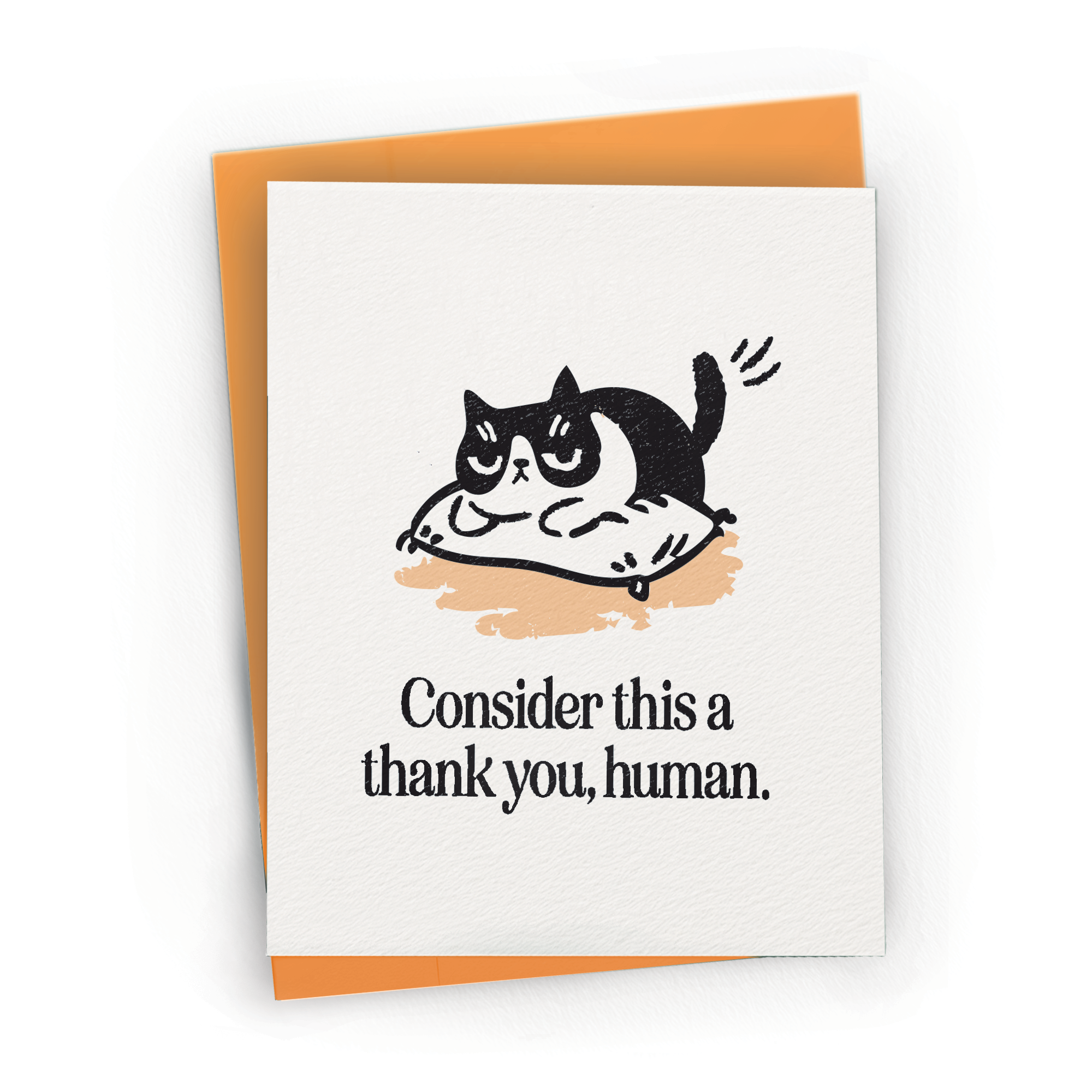 Sarcastic Cat Appreciation