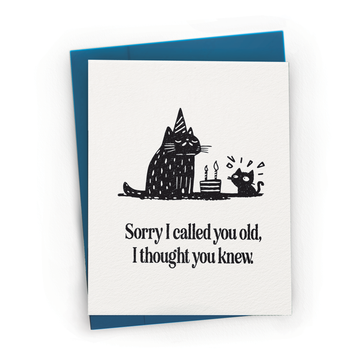 You're Old, I Thought You Knew - Snarky Cat Birthday Greeting Card